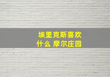 埃里克斯喜欢什么 摩尔庄园